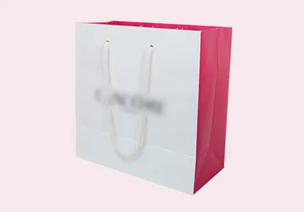 Cosmetic Bag